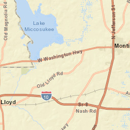 1643 West Lake Road Monticello FL 32344 Street Map