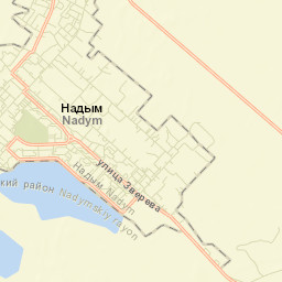 Nadym Street Map