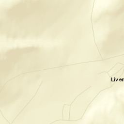 Livengood Alaska Street Map