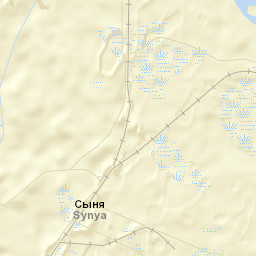 Synya Street Map