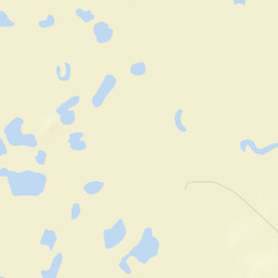 Pilgrim Springs Alaska Street Map