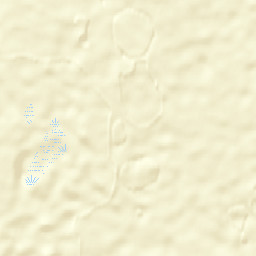 Leshukonskiy Rayon Street Map