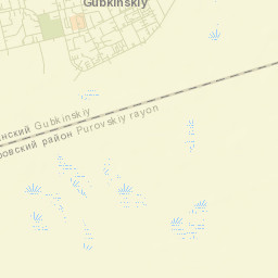 Gubkinskiy Street Map
