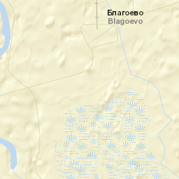 Blagoyevo Street Map