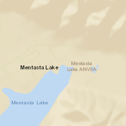 Mentasta Lake Alaska Street Map