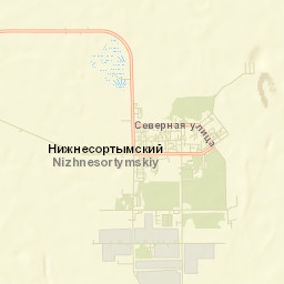 Nizhnesortymskiy Street Map