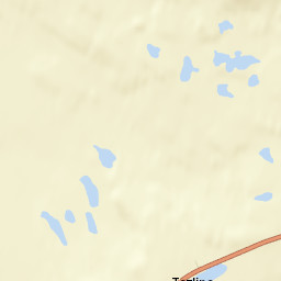 Tazlina Alaska Street Map