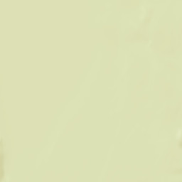 Chisana Alaska Street Map