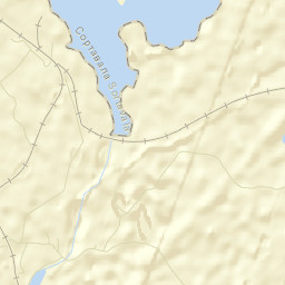 Yanis’yarvi Street Map