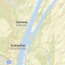 Zelenets Street Map
