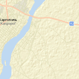 Kargopol’ Street Map