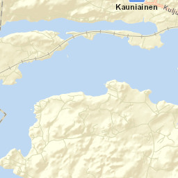Suoniemi Street Map