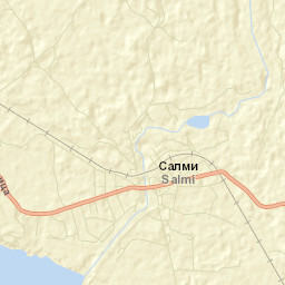 Salmi Street Map