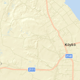 Köyliö Street Map