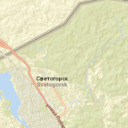 Svetogorsk Street Map