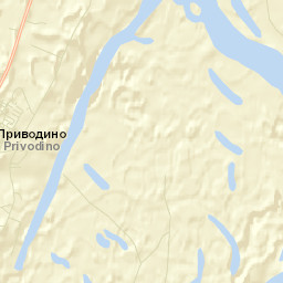 Privodino Street Map