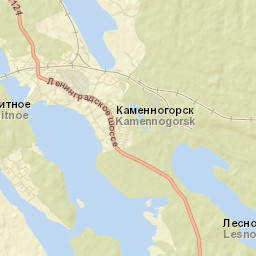 Kamennogorsk Street Map