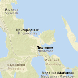 Vysotsk Street Map