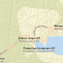 Michurinskoye Street Map