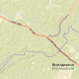 Molodezhnoye Street Map