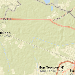 Zelenogorsk Street Map