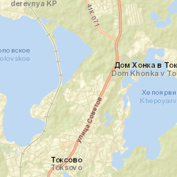 Vsevolozhskiy Rayon Street Map