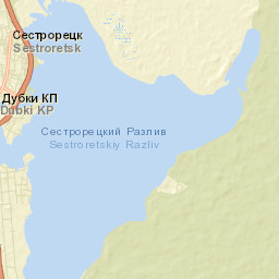 Tarkhovka Street Map