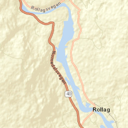 Rollag Street Map