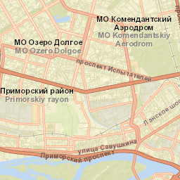 Novaya Derevnya Street Map