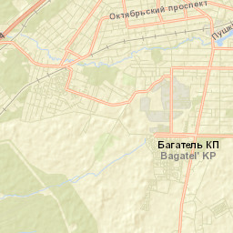 Vsevolozhsk Street Map