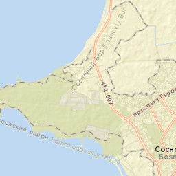 Sosnovyy Bor Street Map
