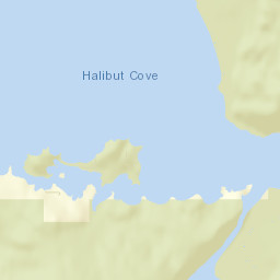 Halibut Cove Alaska Street Map
