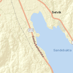Selvik Street Map