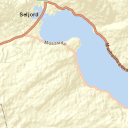 Seljord Street Map