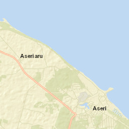 Aseri Street Map