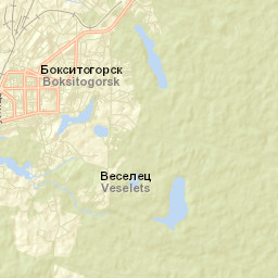 Boksitogorsk Street Map