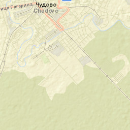 Chudovo Street Map