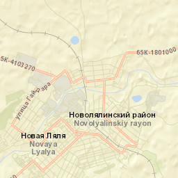 Novaya Lyalya Street Map