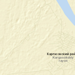 Kargasok Street Map