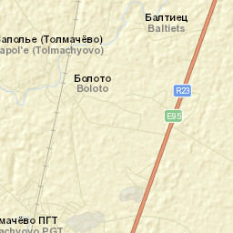 Tolmachevo Street Map