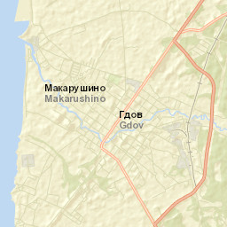 Gdov Street Map