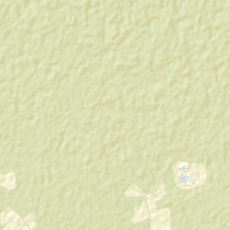Borovichskiy Rayon Street Map