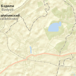Pasegovo Street Map