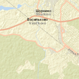 Okulovka Street Map
