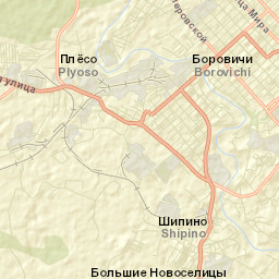 Borovichi Street Map