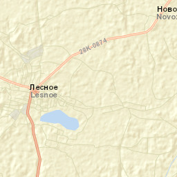 Lesnoye Street Map