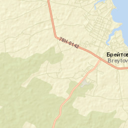 Breytovo Street Map