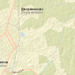 Danilov Street Map