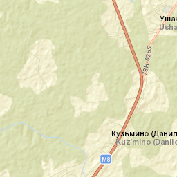 Danilovskiy Rayon Street Map