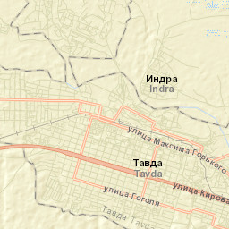 Tavda Street Map
